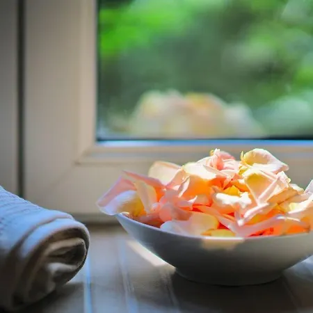 Διαμέρισμα Japanroom Jacuzzi&sauna De Gamme Parking Free *
