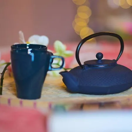 Japanroom Jacuzzi&sauna De Gamme Parking Free * Mulhouse