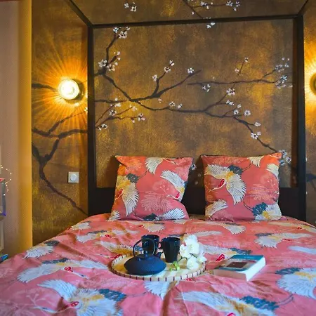 Apartment Japanroom Jacuzzi&sauna De Gamme Parking Free Mulhouse