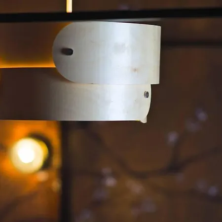 Apartment Japanroom Jacuzzi&sauna De Gamme Parking Free Mulhouse