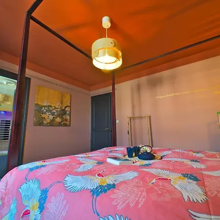 Apartment Japanroom Jacuzzi&sauna De Gamme Parking Free *