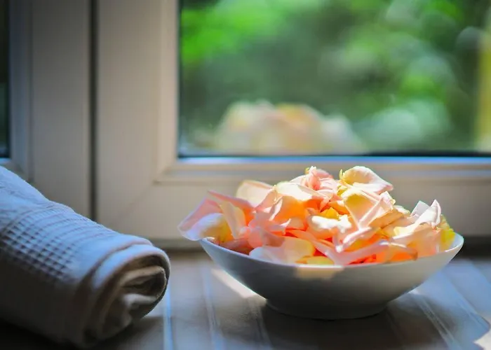 Apartman Japanroom Jacuzzi&sauna De Gamme Parking Free *