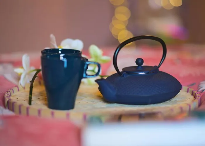 Japanroom Jacuzzi&sauna De Gamme Parking Free * Mulhouse