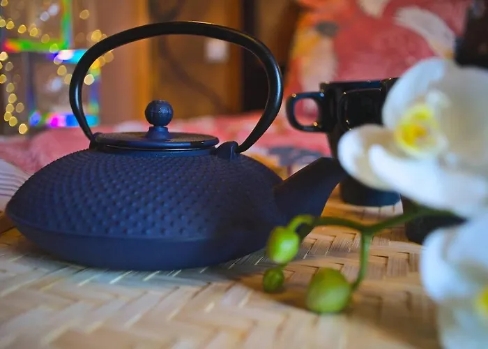 Japanroom Jacuzzi&sauna De Gamme Parking Free